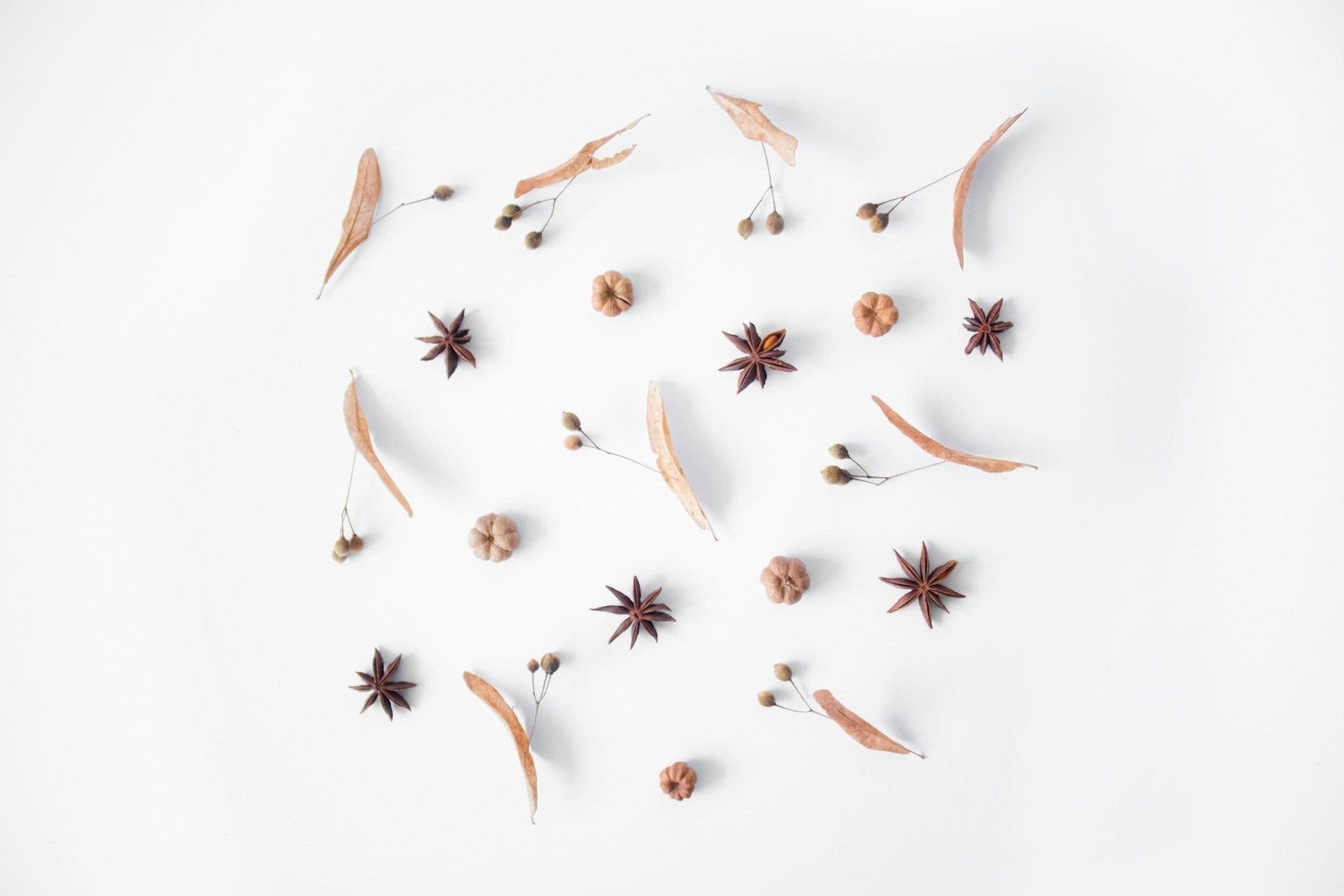 Bulk herbs, spices, and botanicals