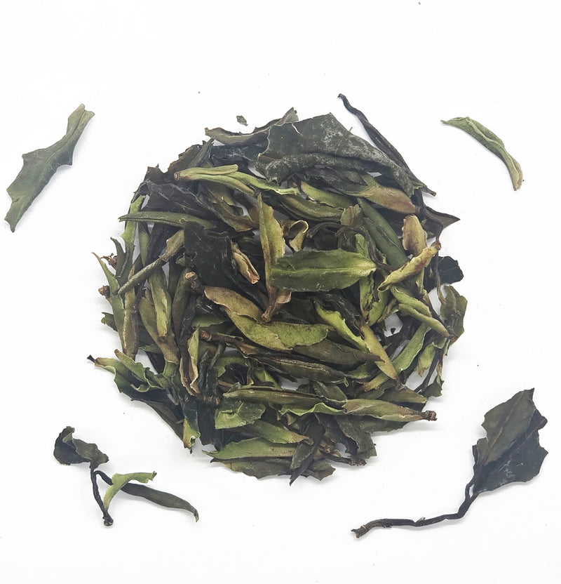 Wild Old Tree White Tea Spring 2024