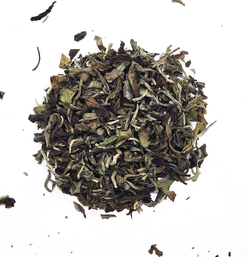 Superior First Flush Darjeeling Wonder Oolong Tea