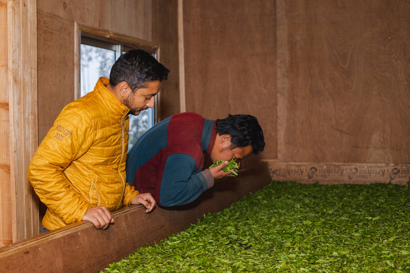 Nepalese Aama Oolong